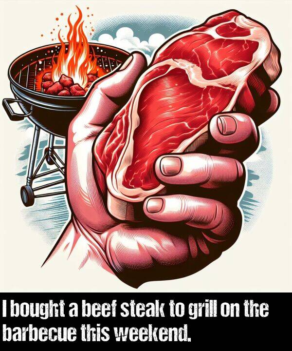 bought: I bought a beef steak to grill on the barbecue this weekend.