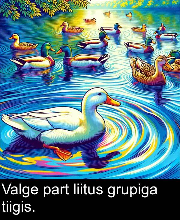 liitus: Valge part liitus grupiga tiigis.