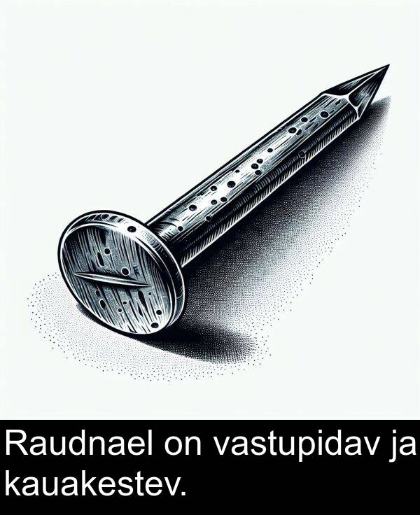 vastupidav: Raudnael on vastupidav ja kauakestev.