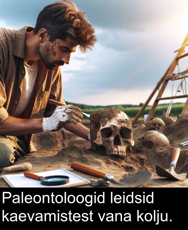 leidsid: Paleontoloogid leidsid kaevamistest vana kolju.