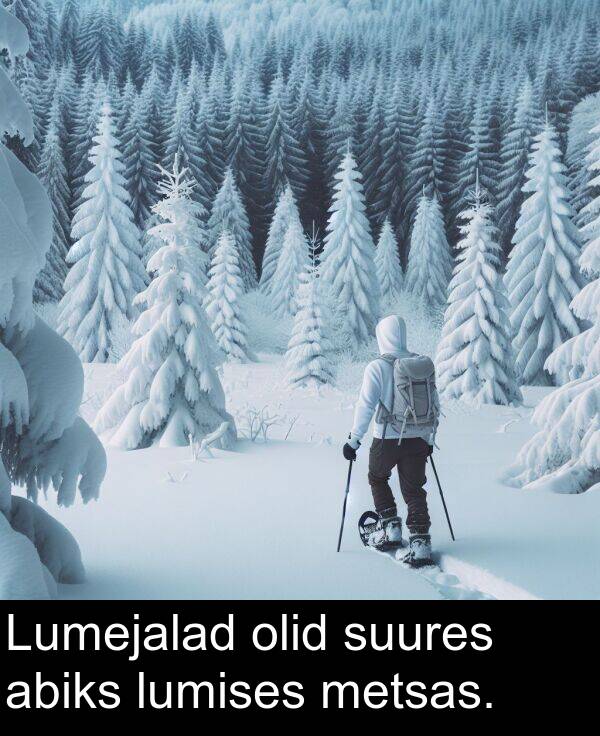 abiks: Lumejalad olid suures abiks lumises metsas.