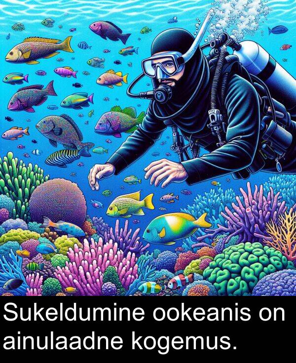 ookeanis: Sukeldumine ookeanis on ainulaadne kogemus.