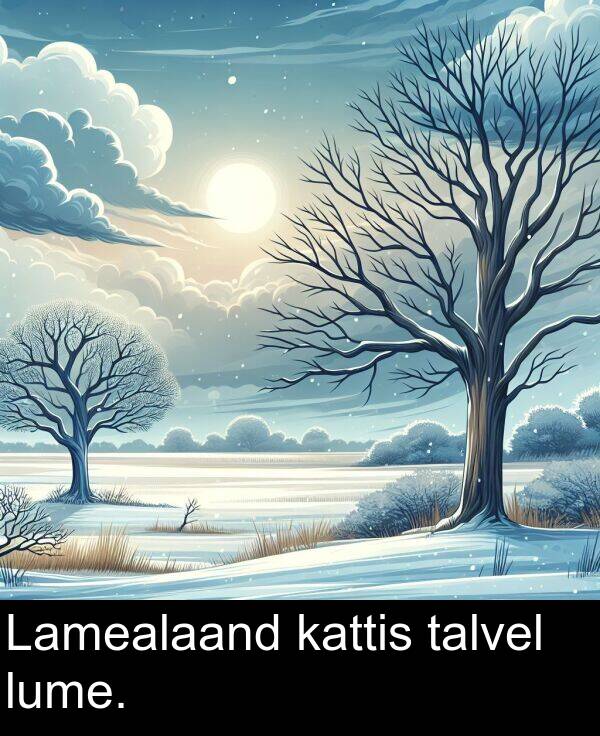 talvel: Lamealaand kattis talvel lume.