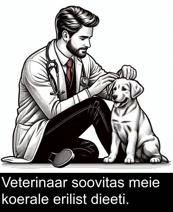 koerale: Veterinaar soovitas meie koerale erilist dieeti.