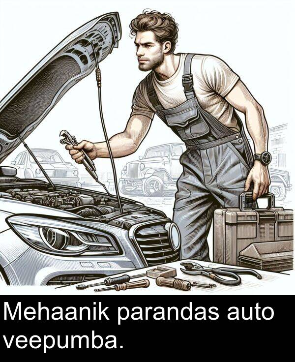 parandas: Mehaanik parandas auto veepumba.