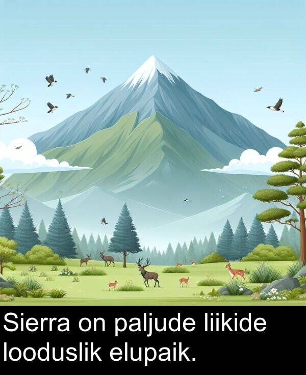 paljude: Sierra on paljude liikide looduslik elupaik.