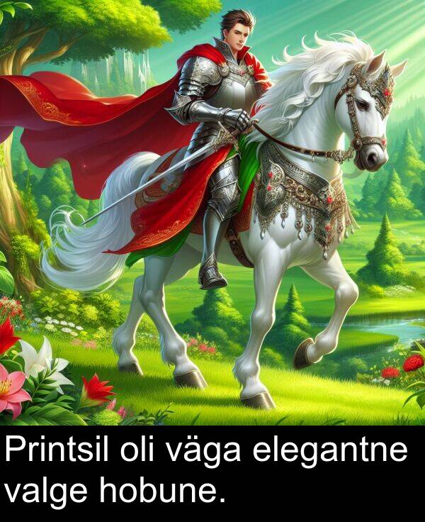 hobune: Printsil oli väga elegantne valge hobune.