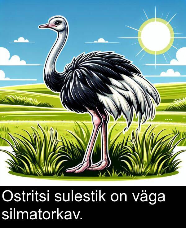 sulestik: Ostritsi sulestik on väga silmatorkav.