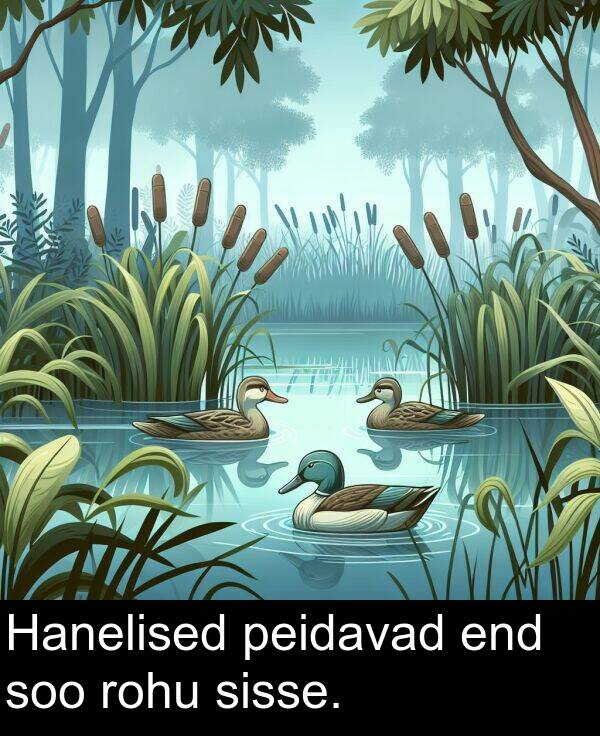 peidavad: Hanelised peidavad end soo rohu sisse.