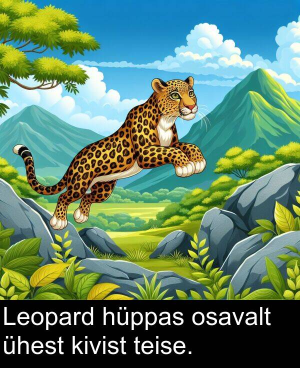 ühest: Leopard hüppas osavalt ühest kivist teise.