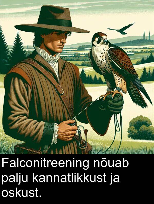 palju: Falconitreening nõuab palju kannatlikkust ja oskust.