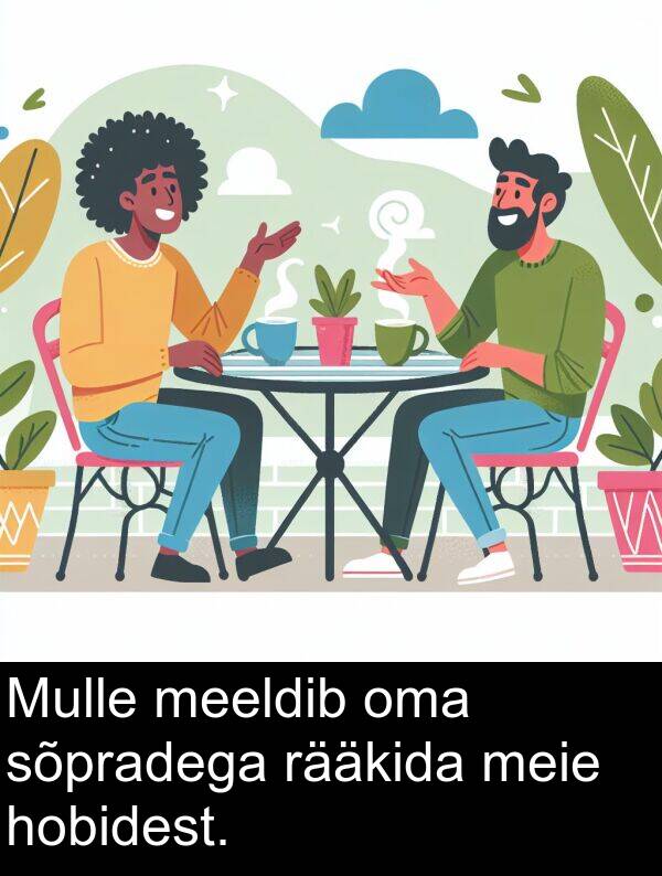 meie: Mulle meeldib oma sõpradega rääkida meie hobidest.