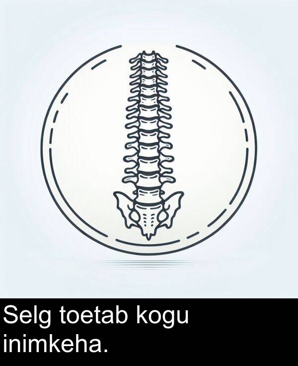 inimkeha: Selg toetab kogu inimkeha.