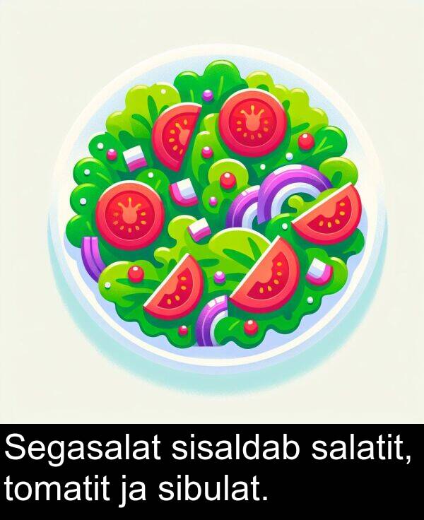 salatit: Segasalat sisaldab salatit, tomatit ja sibulat.