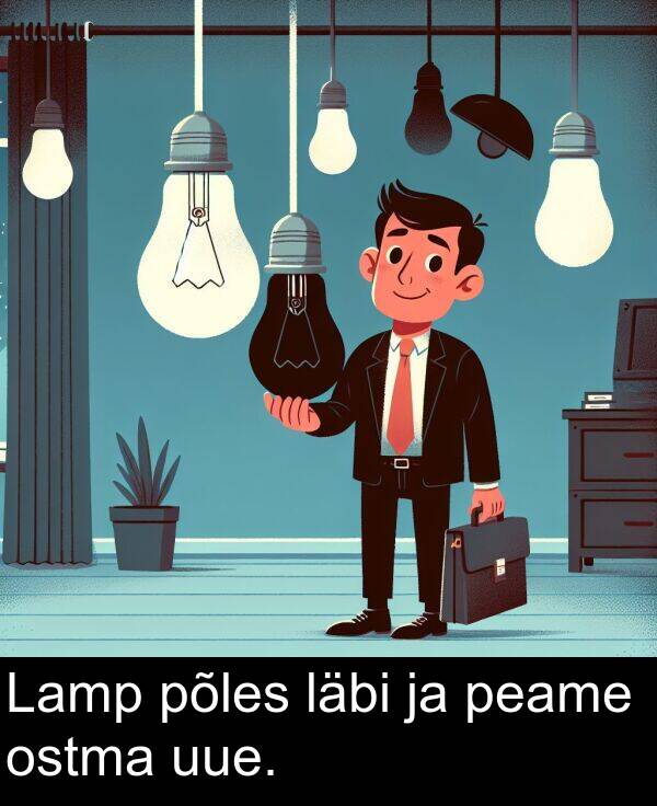 uue: Lamp põles läbi ja peame ostma uue.