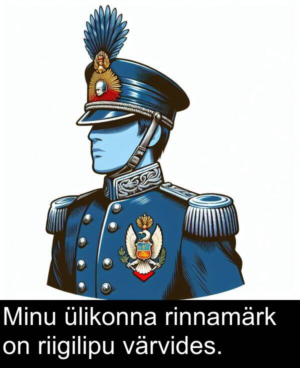 rinnamärk: Minu ülikonna rinnamärk on riigilipu värvides.