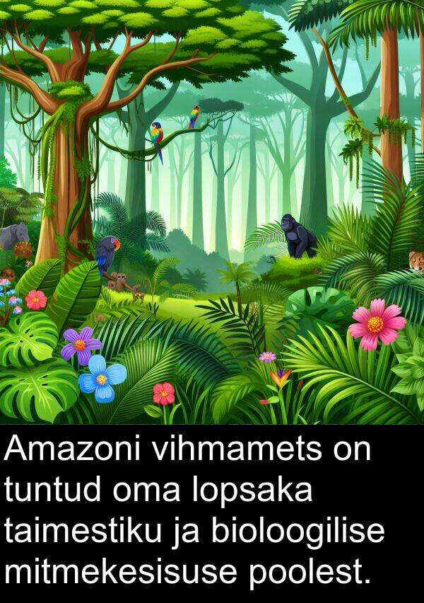 lopsaka: Amazoni vihmamets on tuntud oma lopsaka taimestiku ja bioloogilise mitmekesisuse poolest.