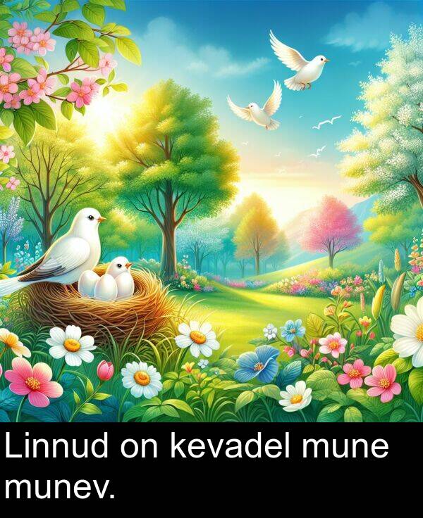 kevadel: Linnud on kevadel mune munev.