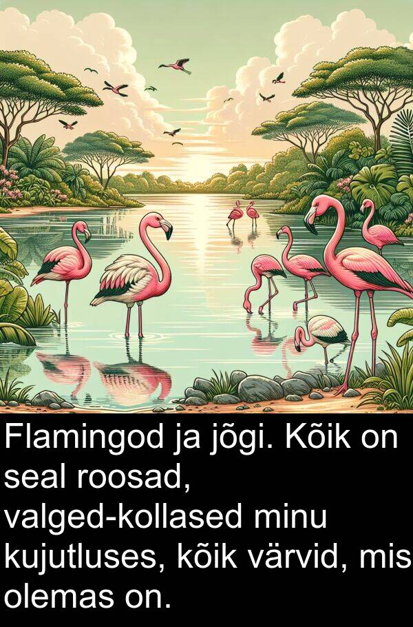 olemas: Flamingod ja jõgi. Kõik on seal roosad, valged-kollased minu kujutluses, kõik värvid, mis olemas on.