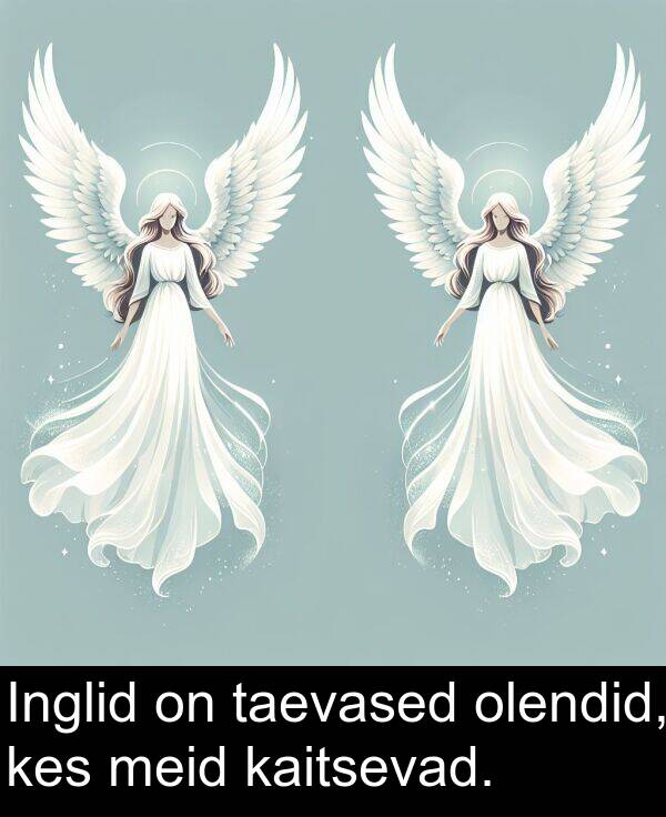 kaitsevad: Inglid on taevased olendid, kes meid kaitsevad.