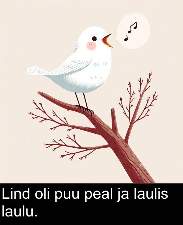 laulu: Lind oli puu peal ja laulis laulu.