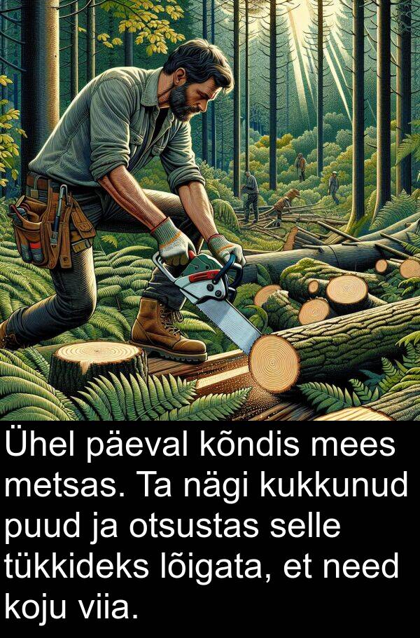 need: Ühel päeval kõndis mees metsas. Ta nägi kukkunud puud ja otsustas selle tükkideks lõigata, et need koju viia.