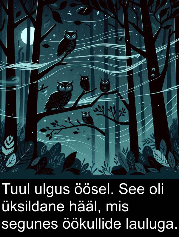 ulgus: Tuul ulgus öösel. See oli üksildane hääl, mis segunes öökullide lauluga.