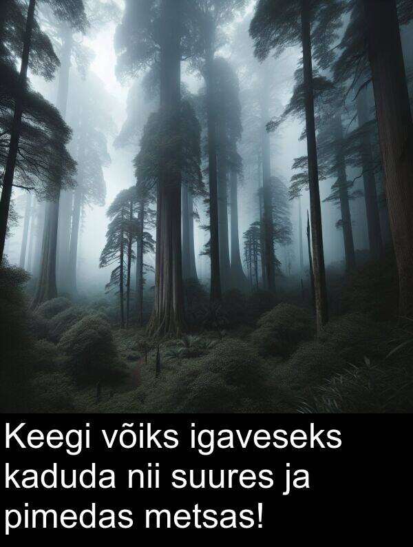 igaveseks: Keegi võiks igaveseks kaduda nii suures ja pimedas metsas!