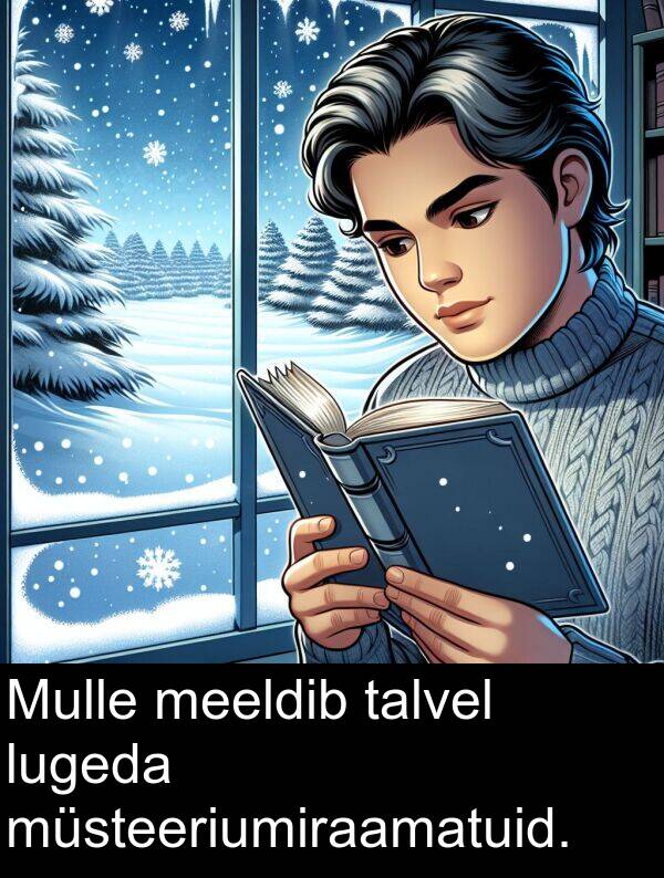 talvel: Mulle meeldib talvel lugeda müsteeriumiraamatuid.