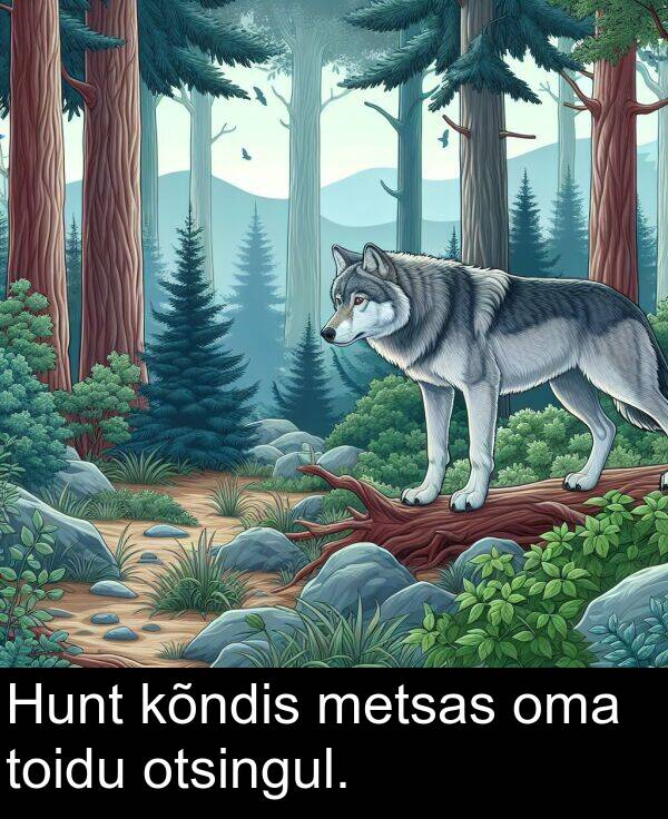 oma: Hunt kõndis metsas oma toidu otsingul.