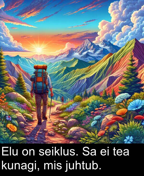 juhtub: Elu on seiklus. Sa ei tea kunagi, mis juhtub.