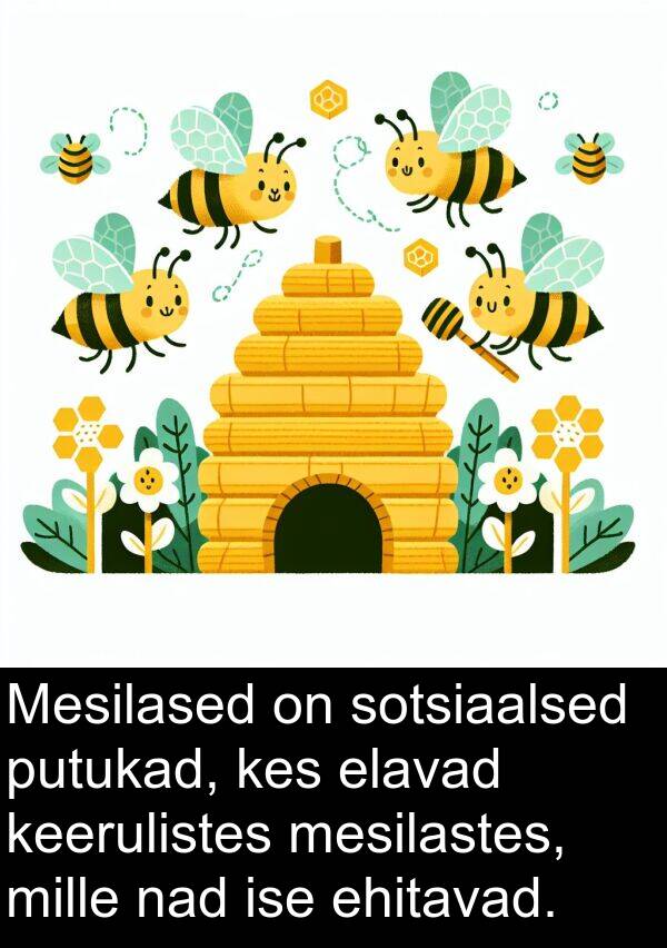 ehitavad: Mesilased on sotsiaalsed putukad, kes elavad keerulistes mesilastes, mille nad ise ehitavad.