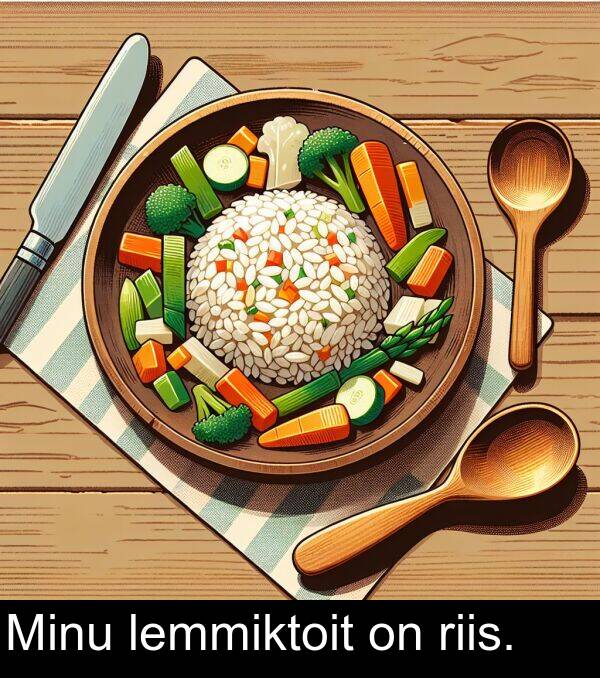 riis: Minu lemmiktoit on riis.