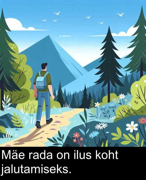 ilus: Mäe rada on ilus koht jalutamiseks.