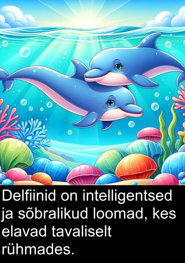 loomad: Delfiinid on intelligentsed ja sõbralikud loomad, kes elavad tavaliselt rühmades.