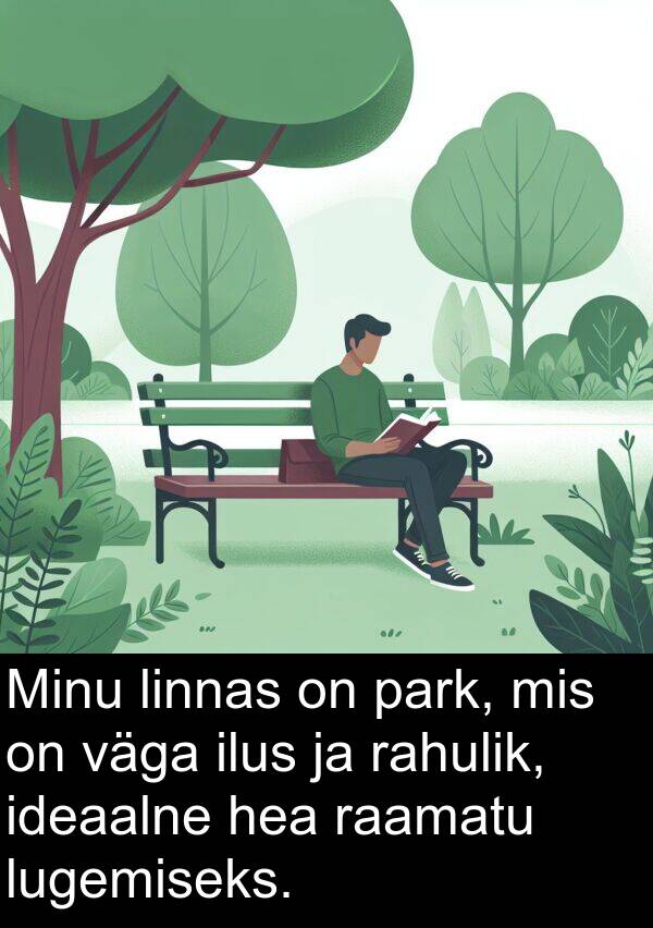 park: Minu linnas on park, mis on väga ilus ja rahulik, ideaalne hea raamatu lugemiseks.