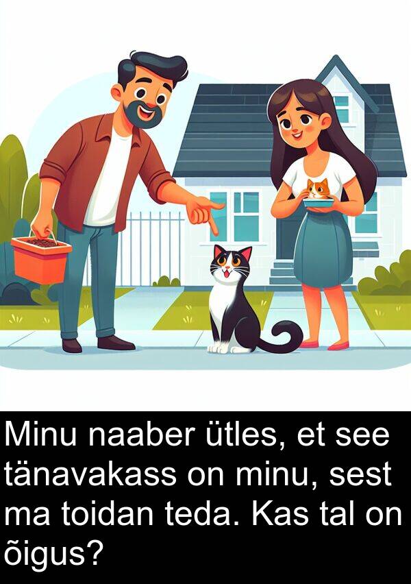 naaber: Minu naaber ütles, et see tänavakass on minu, sest ma toidan teda. Kas tal on õigus?