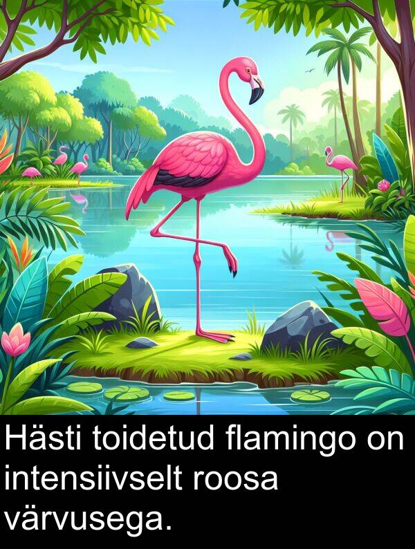 värvusega: Hästi toidetud flamingo on intensiivselt roosa värvusega.