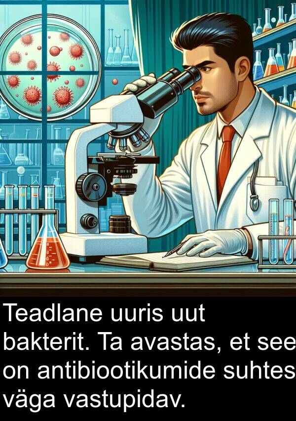 bakterit: Teadlane uuris uut bakterit. Ta avastas, et see on antibiootikumide suhtes väga vastupidav.