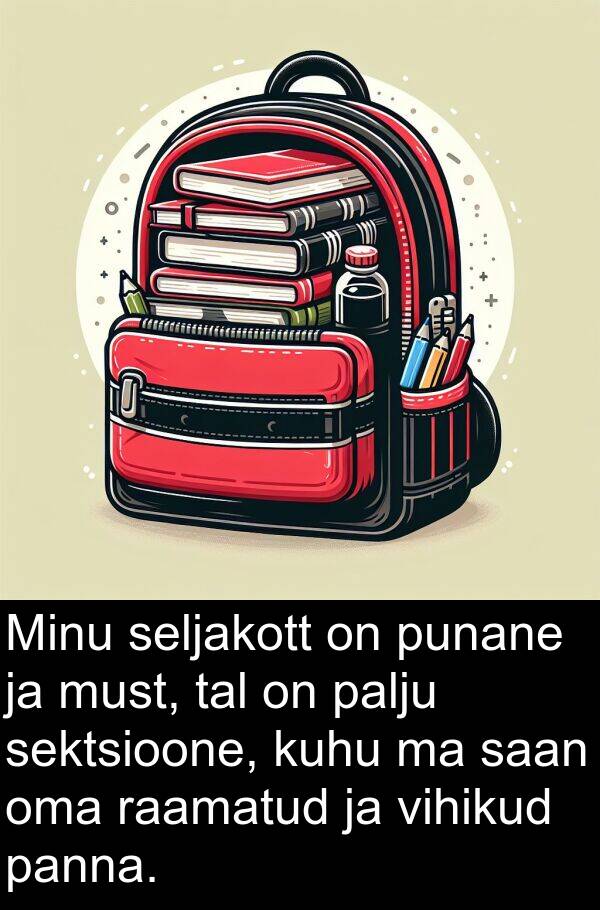 saan: Minu seljakott on punane ja must, tal on palju sektsioone, kuhu ma saan oma raamatud ja vihikud panna.