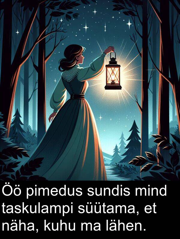 sundis: Öö pimedus sundis mind taskulampi süütama, et näha, kuhu ma lähen.