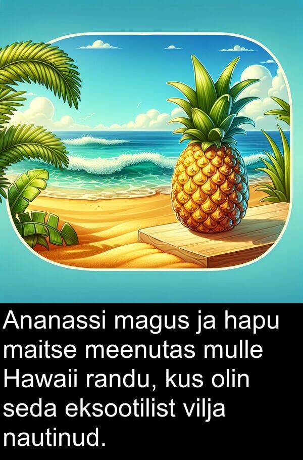 magus: Ananassi magus ja hapu maitse meenutas mulle Hawaii randu, kus olin seda eksootilist vilja nautinud.