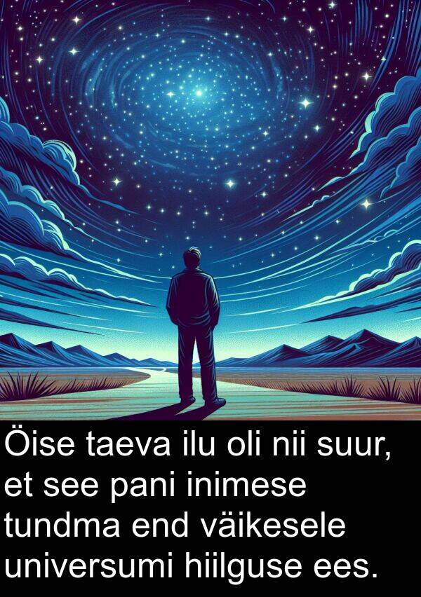 pani: Öise taeva ilu oli nii suur, et see pani inimese tundma end väikesele universumi hiilguse ees.