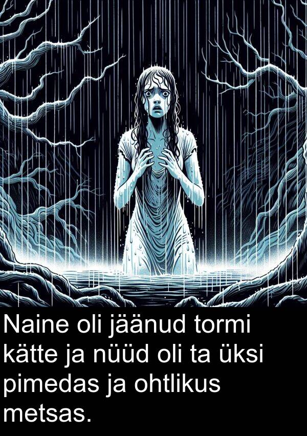 üksi: Naine oli jäänud tormi kätte ja nüüd oli ta üksi pimedas ja ohtlikus metsas.