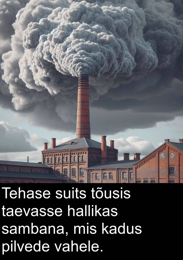 hallikas: Tehase suits tõusis taevasse hallikas sambana, mis kadus pilvede vahele.