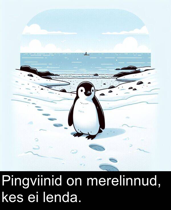 kes: Pingviinid on merelinnud, kes ei lenda.