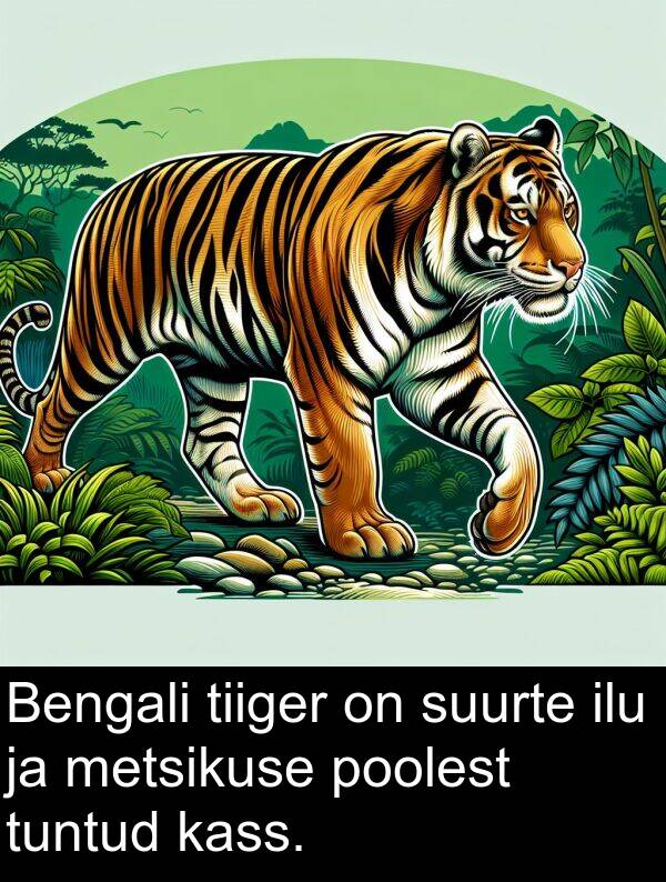 ilu: Bengali tiiger on suurte ilu ja metsikuse poolest tuntud kass.