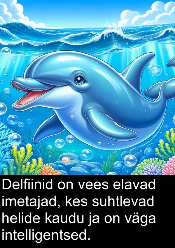 imetajad: Delfiinid on vees elavad imetajad, kes suhtlevad helide kaudu ja on väga intelligentsed.