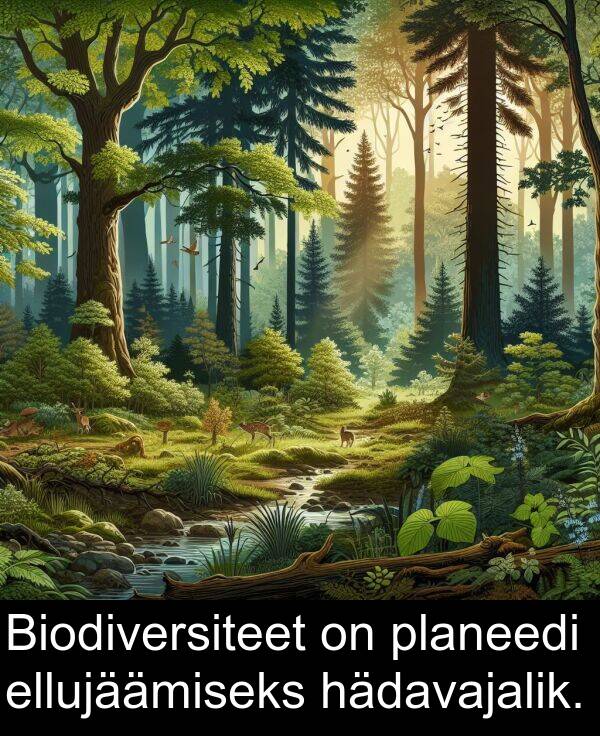 planeedi: Biodiversiteet on planeedi ellujäämiseks hädavajalik.