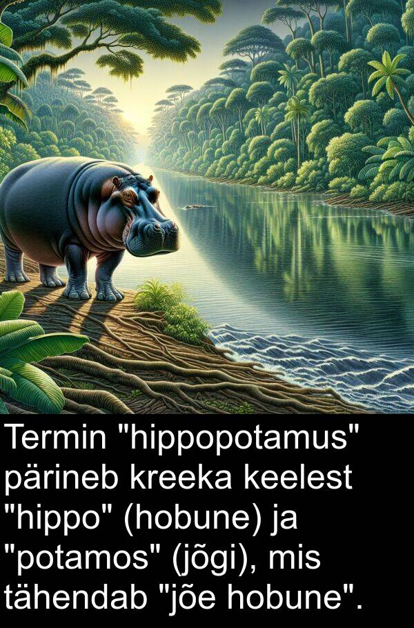 pärineb: Termin "hippopotamus" pärineb kreeka keelest "hippo" (hobune) ja "potamos" (jõgi), mis tähendab "jõe hobune".